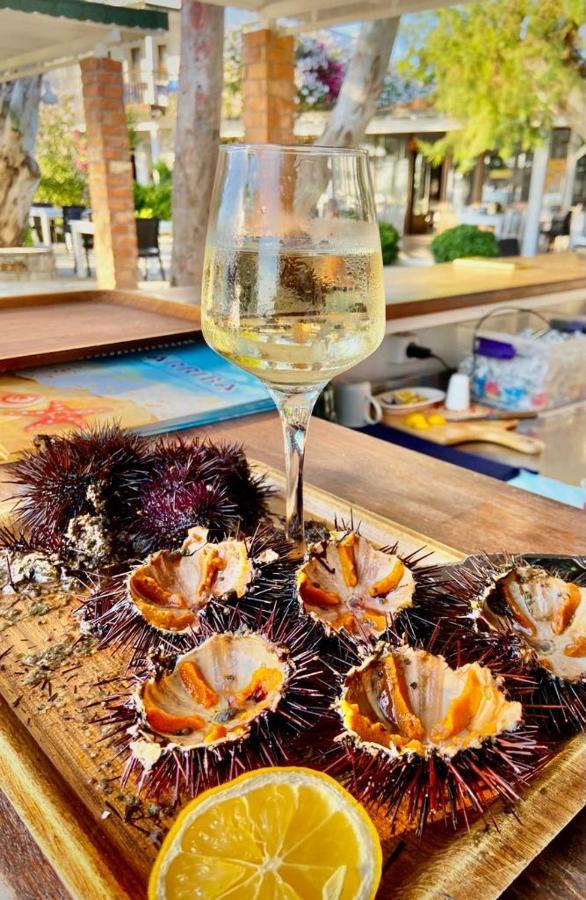 Arriba Pension & Restaurant Gümüşlük Eksteriør bilde