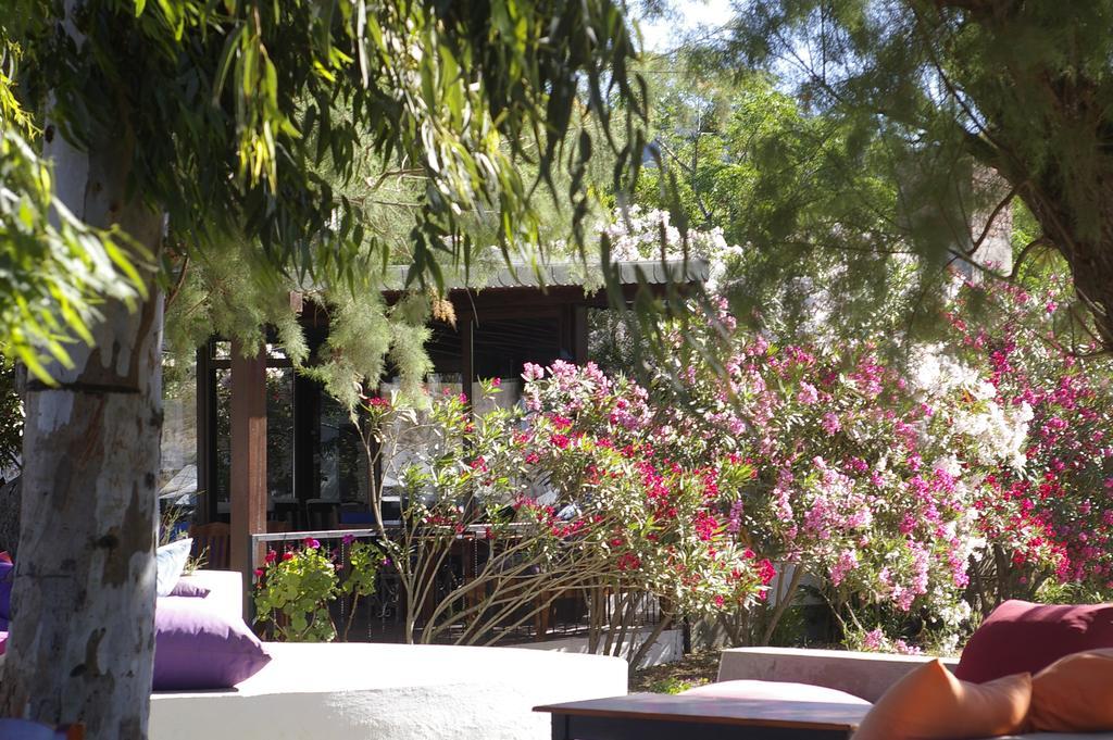 Arriba Pension & Restaurant Gümüşlük Eksteriør bilde