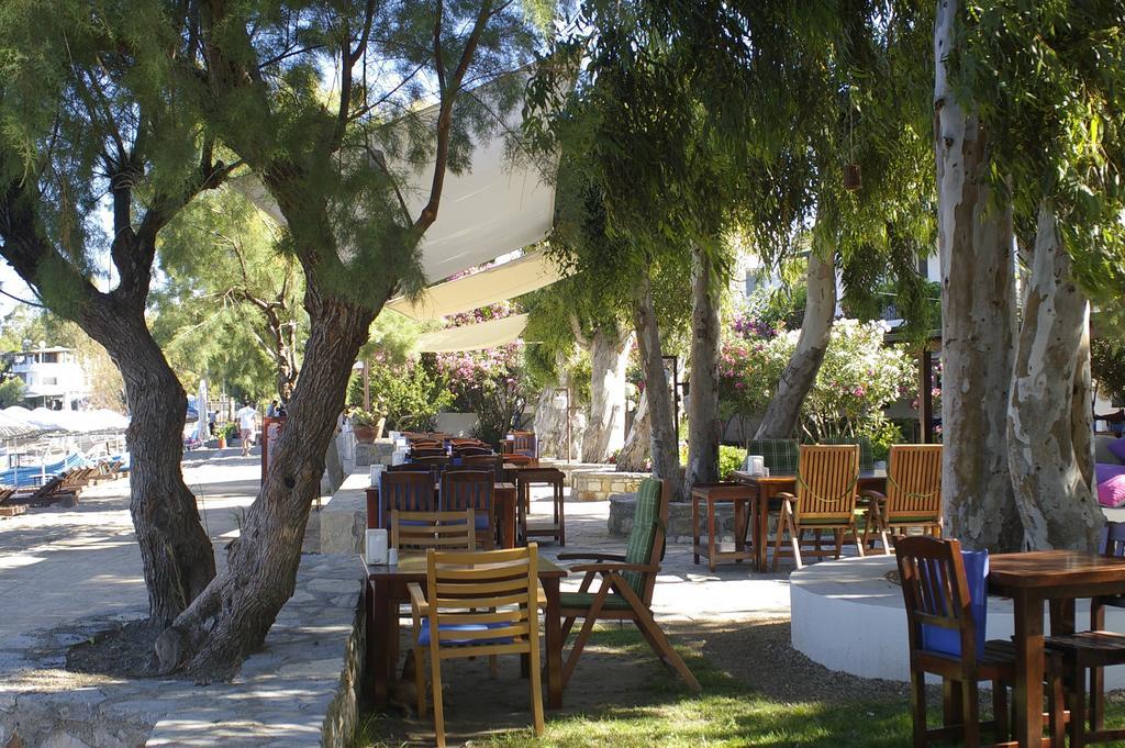 Arriba Pension & Restaurant Gümüşlük Eksteriør bilde