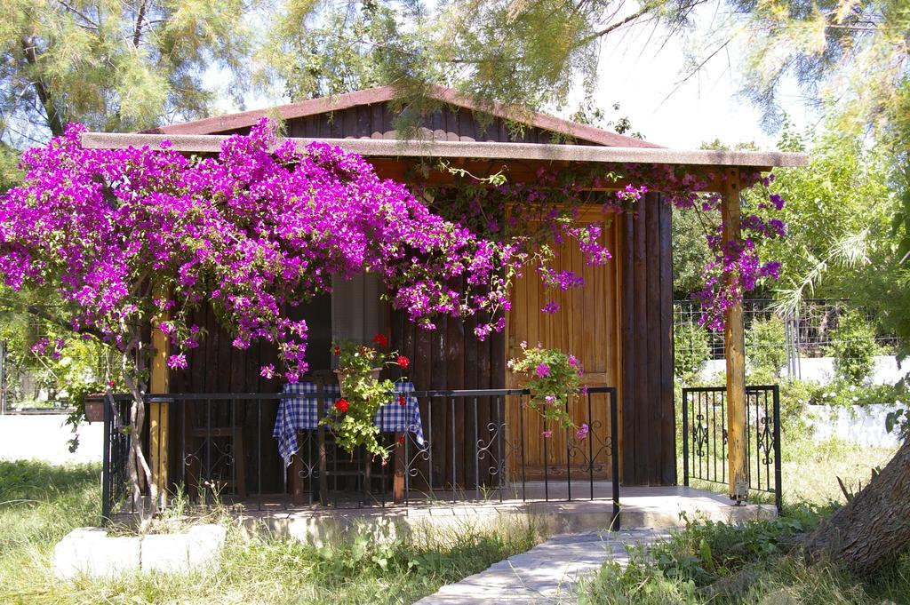 Arriba Pension & Restaurant Gümüşlük Eksteriør bilde