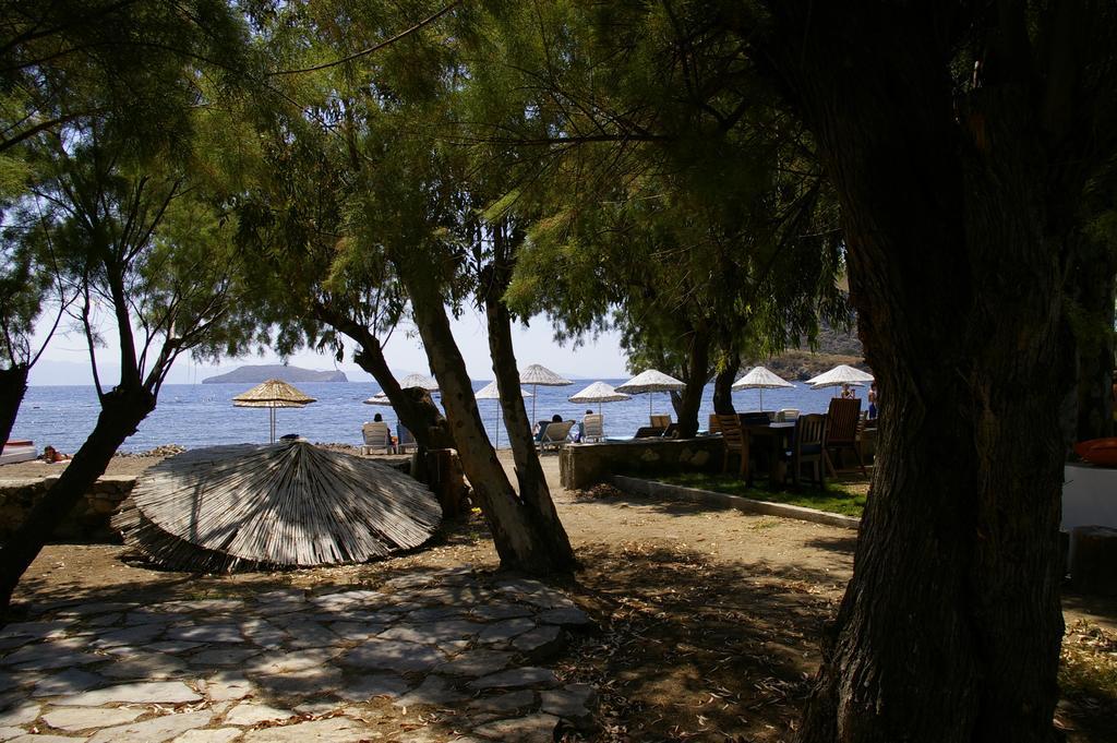 Arriba Pension & Restaurant Gümüşlük Eksteriør bilde